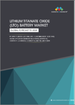鈦酸鋰（LTO）電池的全球市場（~2028年）：按容量（3,000mAh以下、3,001～10,000mAh、10,000mAh以上）、電壓、用途（CE產品、汽車）、組件（電極、電解液）、材料、地區