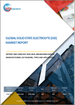 固體電解質 (SSE) 的全球市場:2018-2029年