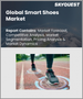 全球智慧鞋市場（2023-2030）：按產品類型（智慧步行鞋、智慧跑鞋）、配銷通路（超市/大賣場、專賣店）分類的規模、佔有率、成長分析和預測