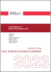 世界電子產業資料年鑑：第3卷（2023年）－中東歐國家及世界電子產品生產與市場概況