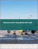 2024-2028年全球飛機除冰劑市場