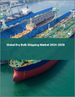 全球乾散貨航運市場 2024-2028