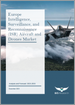 歐洲ISR（情報、監視和偵察）飛機和無人機市場分析與預測：2023-2033