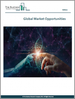 2024 年地理行銷全球市場報告