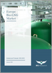歐洲生物液化天然氣市場－分析與預測（2023-2032）