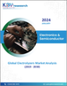 全球電解槽市場規模、佔有率、趨勢分析報告：2023-2030年按容量、技術、應用、地區分類的展望與預測