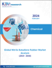 丁腈橡膠 (NBR) 全球市場規模、佔有率、趨勢分析報告：按產品、按應用、按地區、展望和預測，2023-2030 年