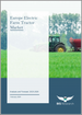 歐洲電動農用曳引機市場：分析與預測（2023-2028）