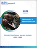 視覺感測器全球市場規模、佔有率和趨勢分析報告：2023 年至 2030 年按感測器類型、最終用戶、應用和地區分類的展望和預測