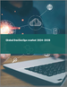 DevSecOps 的全球市場 2024-2028