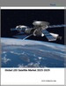 全球低地球軌道衛星市場（2025-2029）