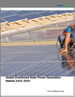 分散式太陽能發電 2025-2029