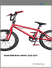 2025-2029年全球BMX自行車市場
