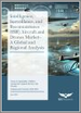 情報、監視和偵察 (ISR) 飛機和無人機市場 - 全球和區域分析：按應用、平台、組件、支援服務和國家 - 分析和預測（2025 年至 2035 年）