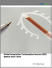 子宮內避孕器（IUD）市場：2025-2029年全球市場