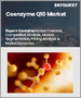 Coenzyme Q10市場規模、佔有率及成長分析（按應用、形式、來源、分銷管道、產品類型和地區）- 2025 年至 2032 年行業預測