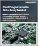 現場可程式閘陣列 (FPGA) 市場規模、佔有率、成長分析（按配置、按節點大小、按技術、垂直產業和按地區）- 產業預測（2025 年至 2032 年）