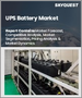 UPS電池市場規模、佔有率、成長分析（按評級、按產品類型、按電池類型、按應用、按地區）- 產業預測 2025-2032
