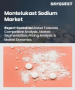 Montelukast sodium市場規模、佔有率及成長分析（依產品類型、劑型、藥物類別、應用、通路及地區）－2025-2032 年產業預測