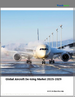 2025-2029年全球飛機除冰市場