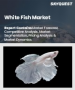 白魚市場規模、佔有率、成長分析、按魚類類型、產品類型、配銷通路和地區分類的行業預測 - 2025 年至 2032 年