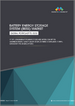 全球電池能源儲存系統市場按電池類型、連接類型、所有權、能源容量、應用和地區分類－預測至2030年