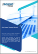 冷雷射治療市場規模及預測（2021-2031年），全球及區域佔有率、趨勢及成長機會分析報告涵蓋範圍：按產品、應用、最終用戶分類