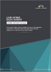 全球地面行動無線(LMR) 市場（至 2030 年）按類型（攜帶式/車載式）、技術和頻段（25-174MHz、200-512MHz 和 700MHz 以上）分類
