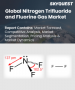三氟化氮和氟氣市場規模、佔有率和成長分析（按類型、三氟化氮應用、氟氣應用和地區分類）—產業預測（2026-2033年）