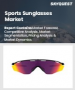 運動太陽眼鏡市場規模、佔有率和成長分析（按類型、應用、最終用戶、分銷管道和地區分類）—2026-2033年產業預測