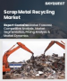 廢金屬回收市場規模、佔有率和成長分析（按金屬類型、廢料來源、最終用途產業和地區分類）—產業預測（2026-2033 年）