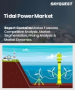 潮汐能市場規模、佔有率及成長分析（依方法、容量、安裝深度、應用及地區分類）－2026-2033年產業預測