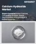 氫氧化鈣市場規模、佔有率和成長分析（按類型、等級、應用、純度和地區分類）－2026-2033年產業預測