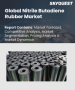 丁腈橡膠市場規模、佔有率及成長分析（按產品類型、終端用戶產業及地區分類）－2026-2033年產業預測