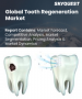 牙齒再生市場規模、佔有率及成長分析（按類型、人口統計、最終用途及地區分類）－2026-2033年產業預測