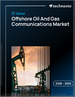 2026-2030年全球海上油氣通訊市場