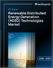 2026-2030年全球可再生分散式能源發電（RDEG）技術市場