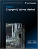 2026-2030年全球低溫閥門市場
