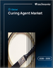 2026-2030年全球硬化劑市場