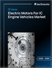 2026-2030年全球內燃機汽車用電動馬達市場