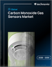 2026-2030年全球一氧化碳氣體感測器市場