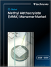 2026-2030年全球甲基丙烯酸甲酯（MMA）單體市場