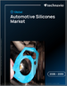 2026-2030年全球汽車用矽膠市場