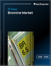 全球溴市場，2026-2030年