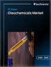 全球油脂化學品市場，2026-2030