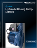 2026-2030年全球液壓計量幫浦市場