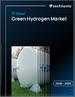 2026-2030年全球綠色氫能市場