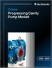 2025-2029年全球漸進式洞穴幫浦市場