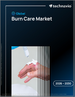 2026-2030年全球燒燙傷治療市場