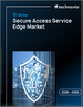 2026-2030年全球安全存取服務邊緣市場
